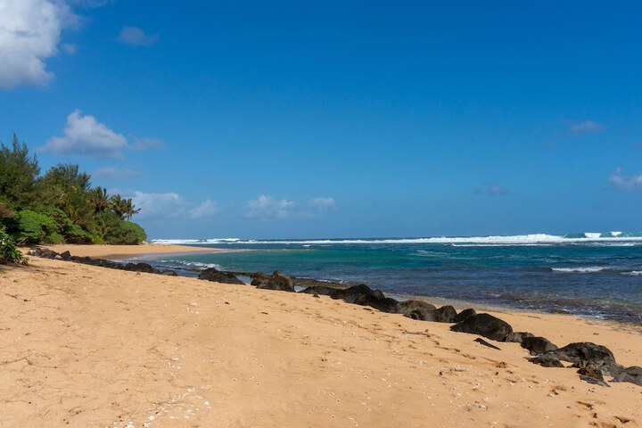 Beach 28 of 36