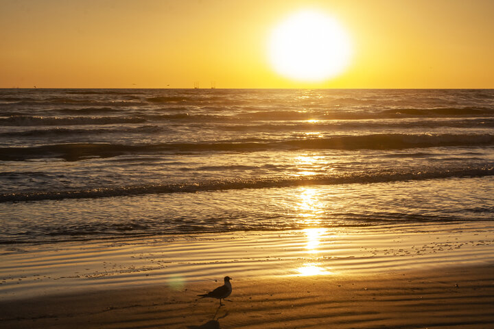 Beach 142 of 176