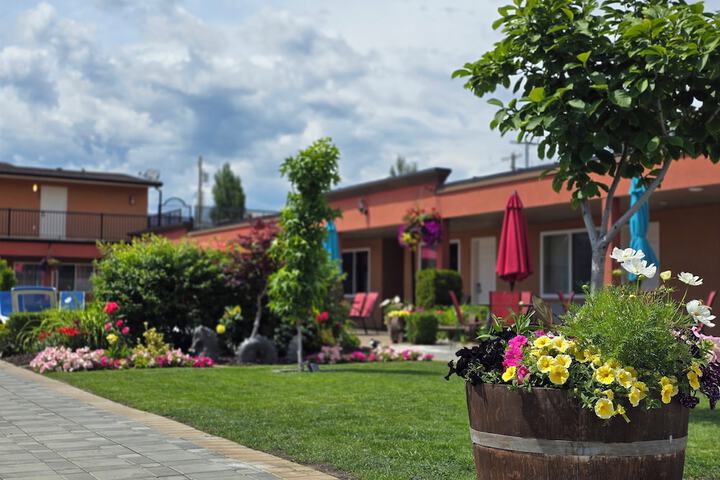 Sahara Courtyard Inn
