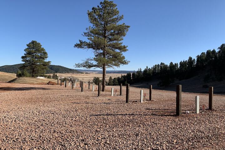Bearlodge Mountain Resort