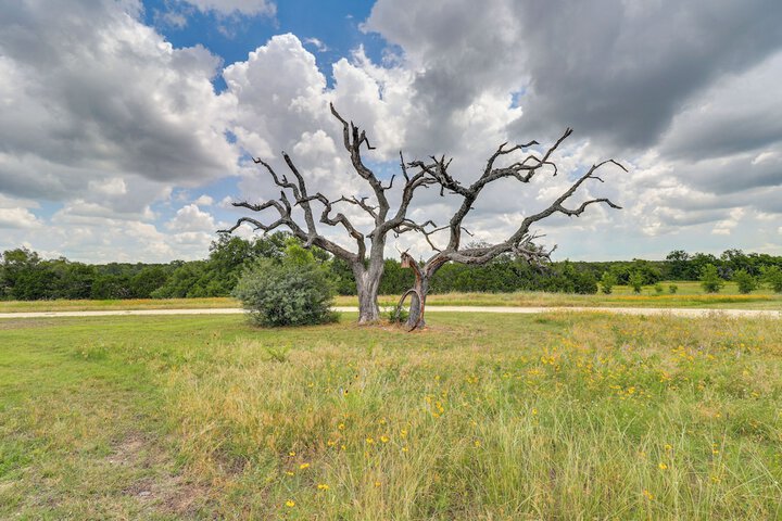 Bertram Ranch Property w / Patio & Gas Grill!