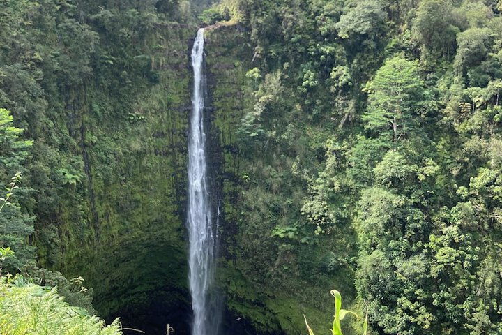 Hilo Bay Oceanfront B & B