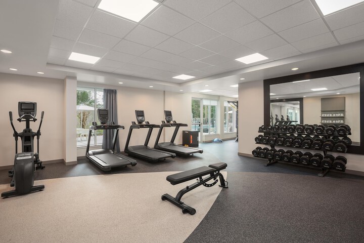 Hilton Garden Inn Tampa North Busch Gardens