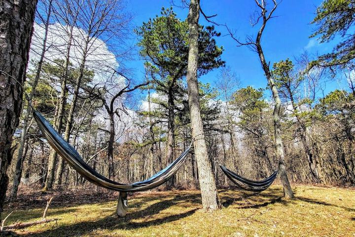 The Wooden Nest by Avantstay Deck Big Yard w / Hammocks & Fire Pit