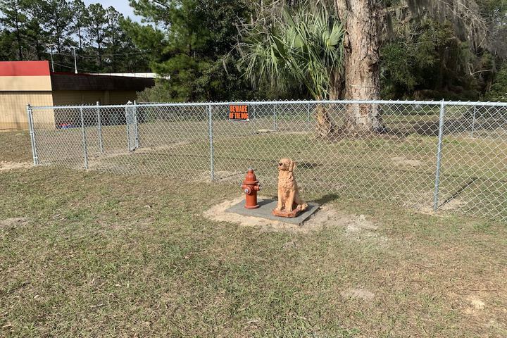 Pet Friendly 21 of 22