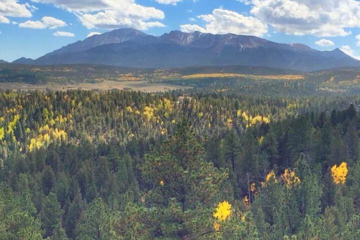 Pikes Peak Paradise Bed and Breakfast