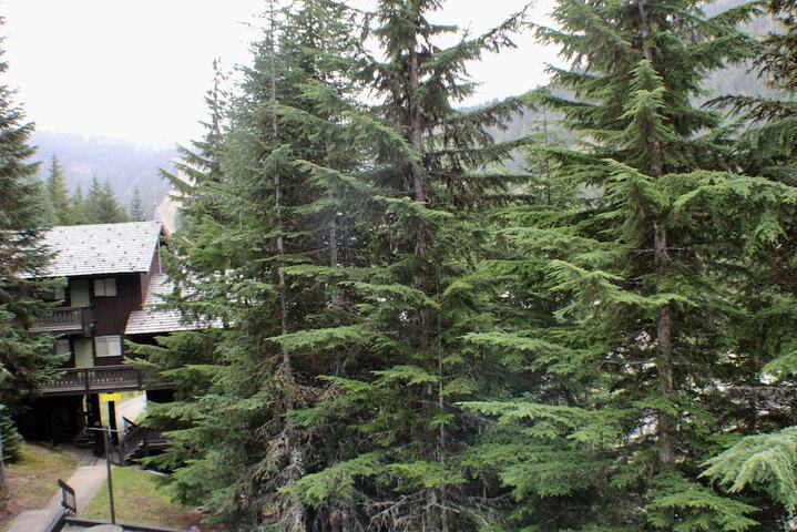 Crystal Chalets Condominiums at Crystal Mountain Ski Resort