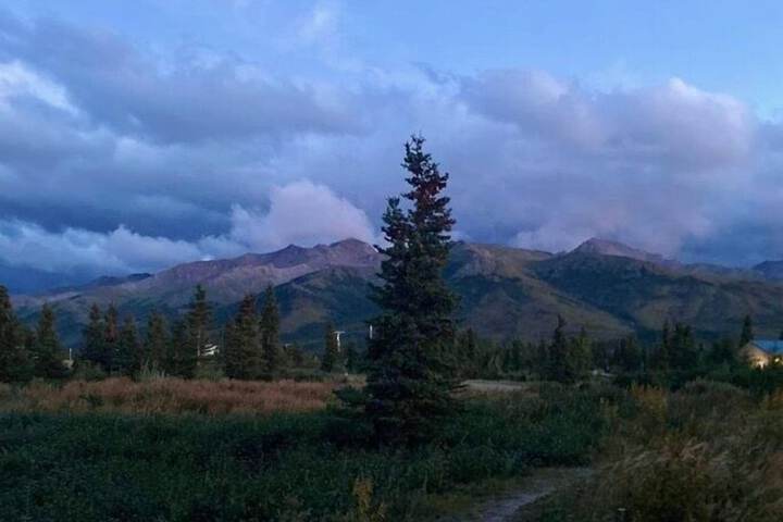 Denali Park Hotel