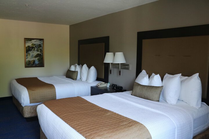 Room 17 of 51