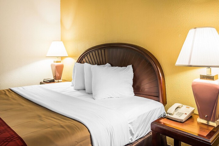 Rodeway Inn & Suites Carrollton