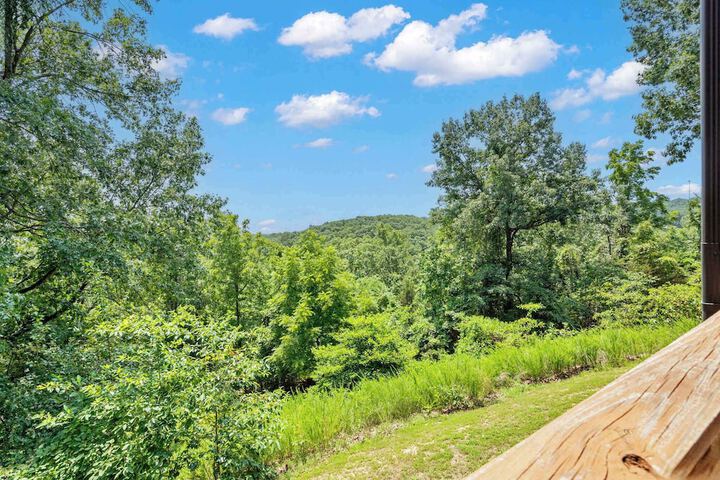 Black Bear Lodge - 1 Mile From Silver Dollar City