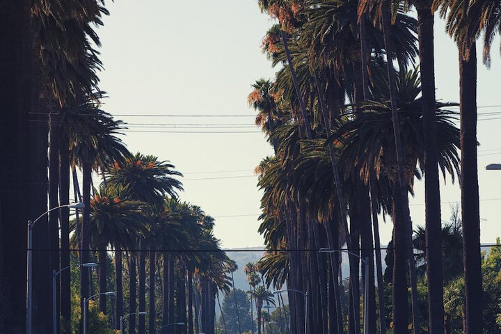 Loews Hollywood Hotel