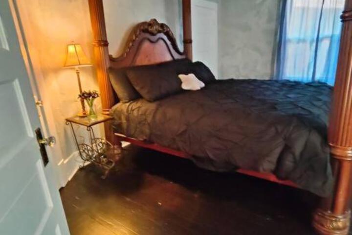 The vampires den downtown big house, pets ok