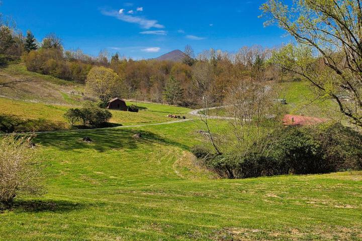 Grapevine Retreat