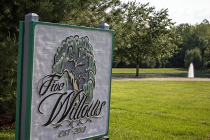 Five Willows