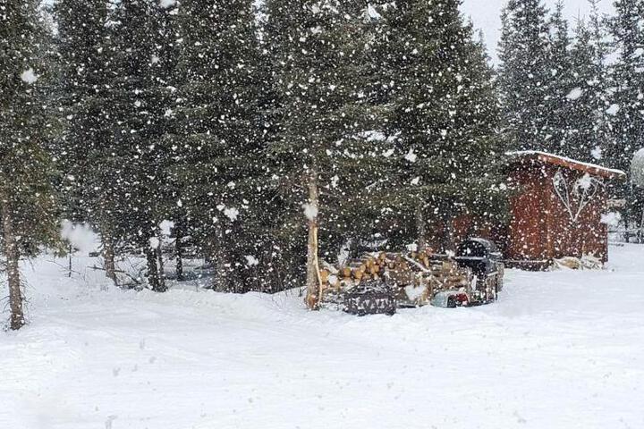 Denalis Alaskan Spruce Cabins