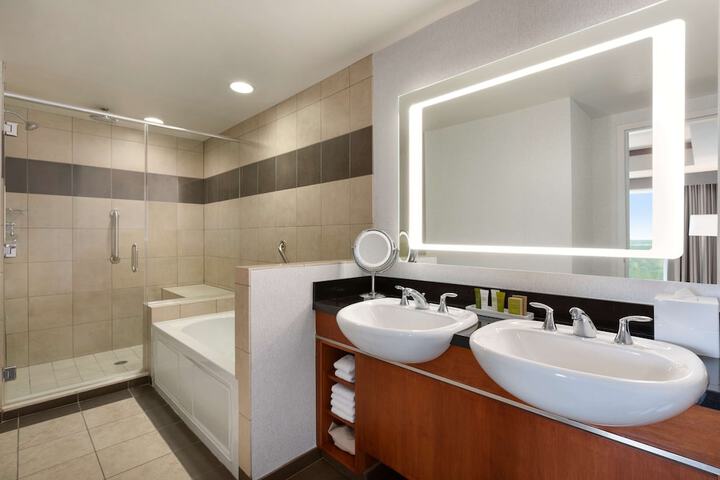 Hilton Baltimore BWI Airport