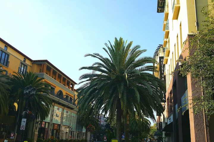 Hotel Valencia Santana Row