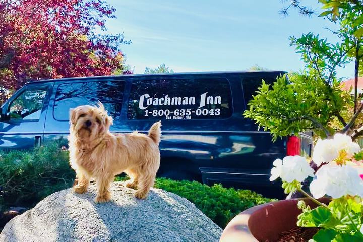 Coachman Inn & Suites