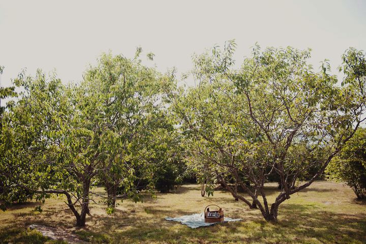Property Grounds 79 of 82