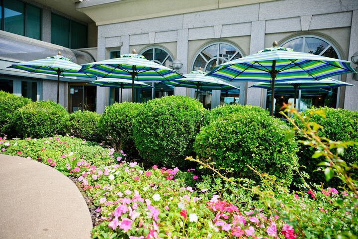 Terrace/Patio 55 of 60