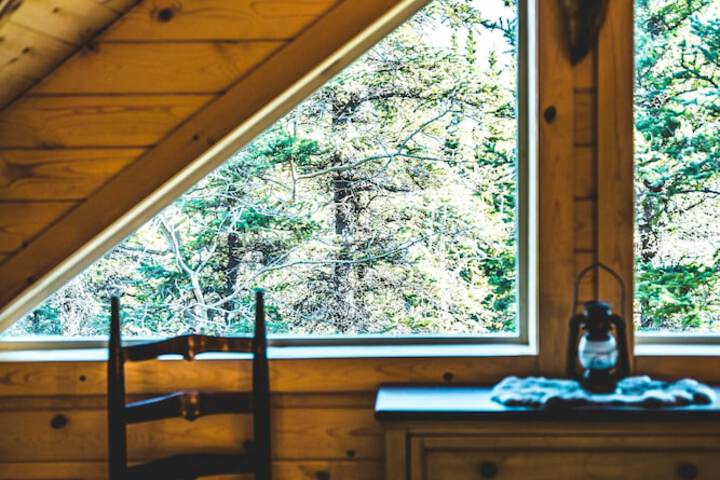 Denali Wild Stay