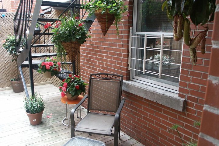 Terrace/Patio 40 of 40