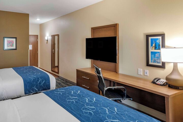 Comfort Inn & Suites Downtown near University