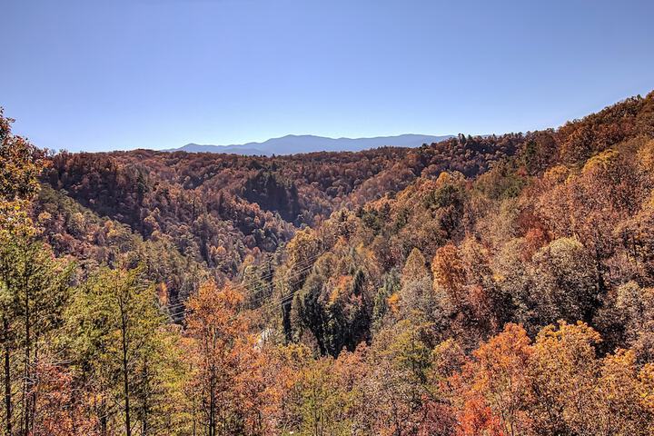 Bearview Heights #244