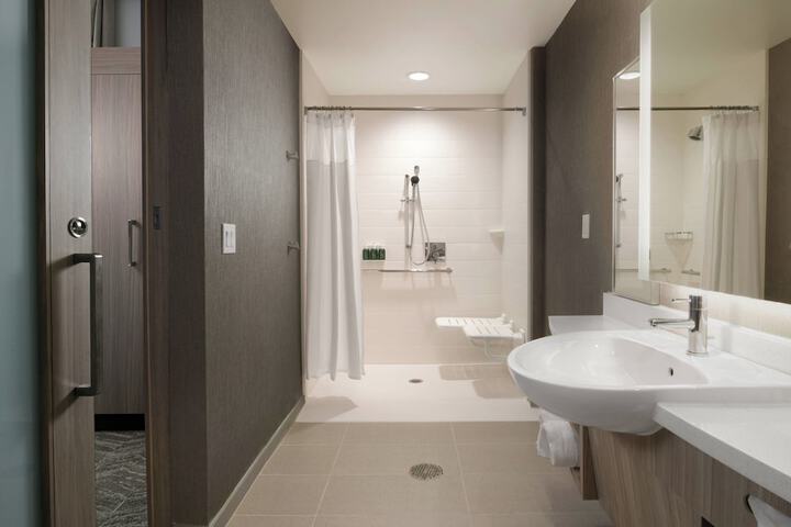 SpringHill Suites by Marriott Texas City