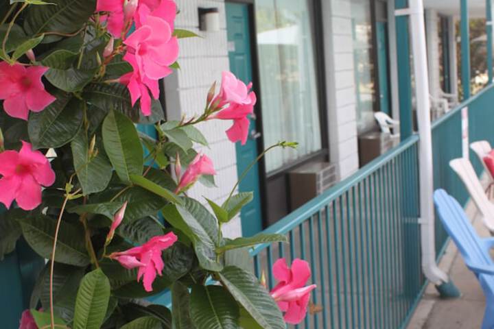 Terrace/Patio 50 of 55