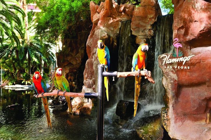 Flamingo Las Vegas Hotel & Casino