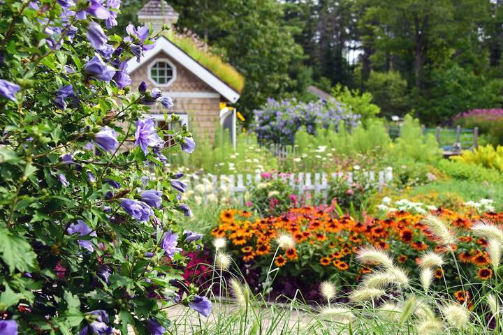 Brewster House Bed & Breakfast