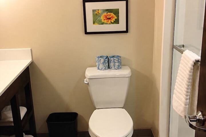Comfort Suites Youngstown North