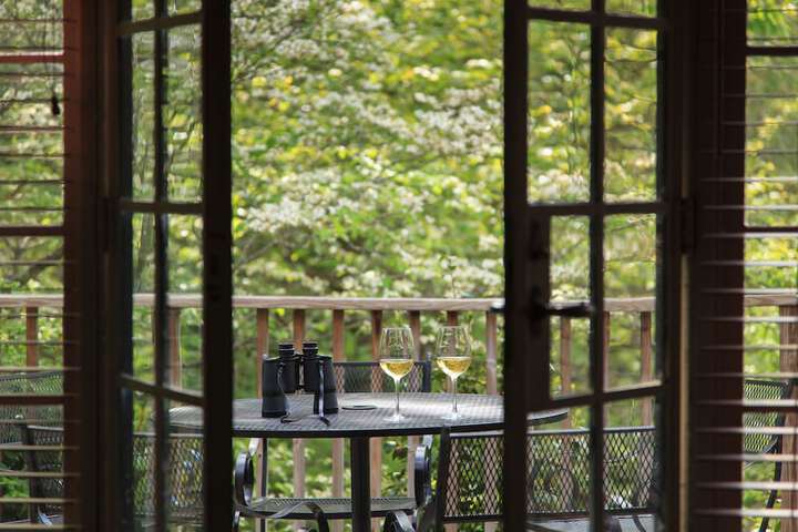 Terrace/Patio 55 of 67