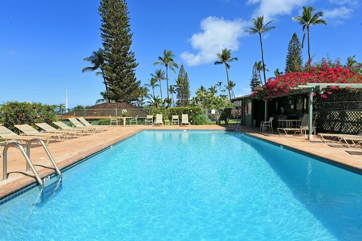 Pool 40 of 58