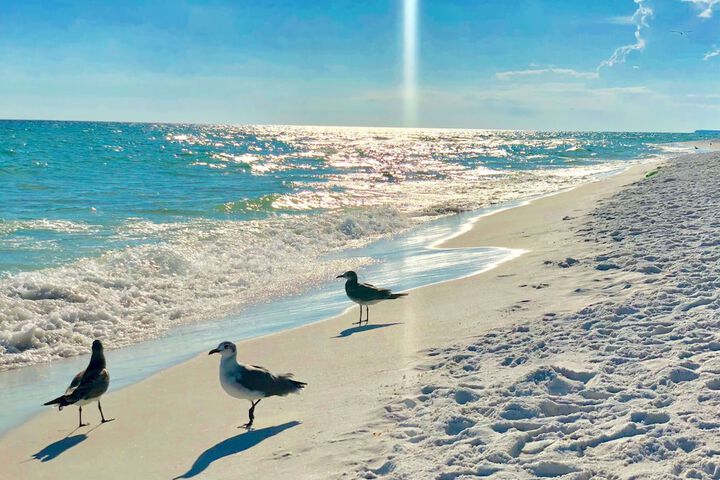 Beach 75 of 97