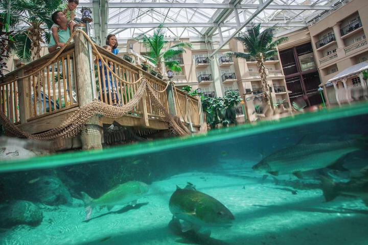 Gaylord Palms Resort & Convention Center