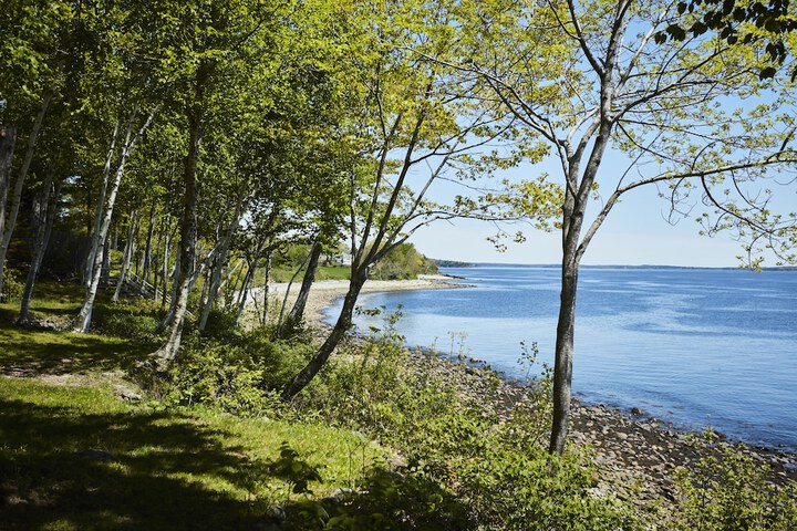 Beach 56 of 68