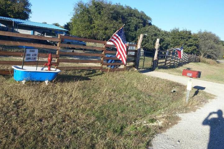 Constantino Farms