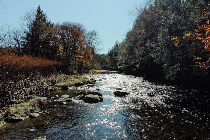 Antrim Streamside