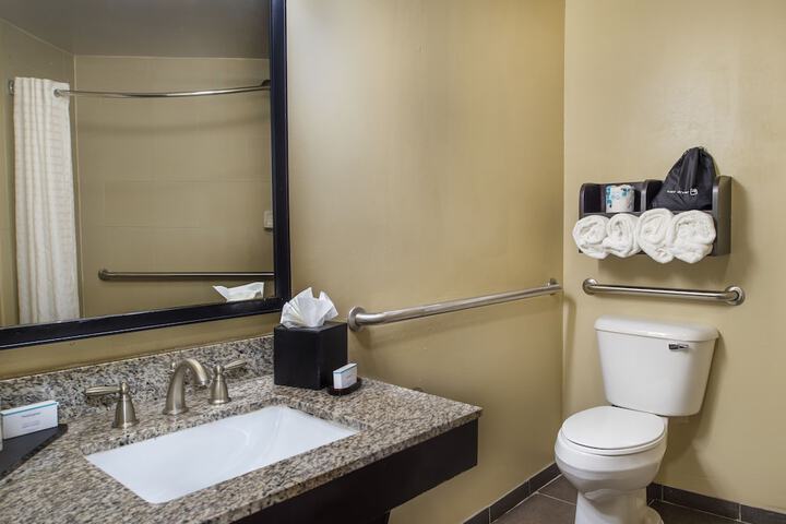 Embassy Suites by Hilton St. Louis Airport