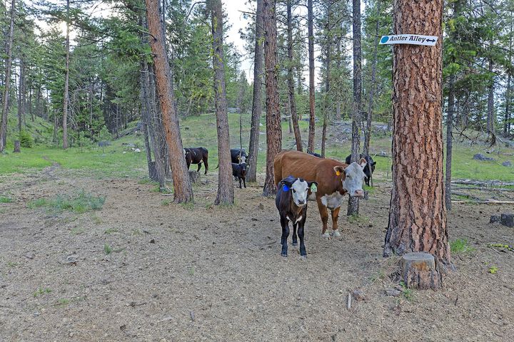 Eden Valley Guest Ranch