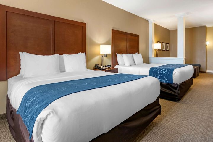 Comfort Suites Airport - University
