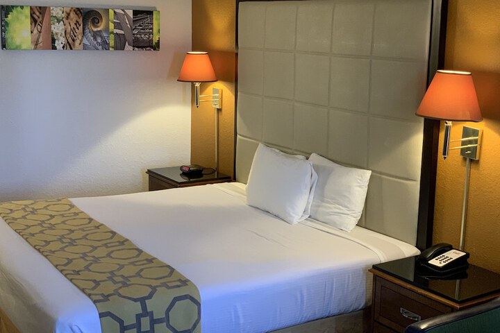 Room 15 of 24