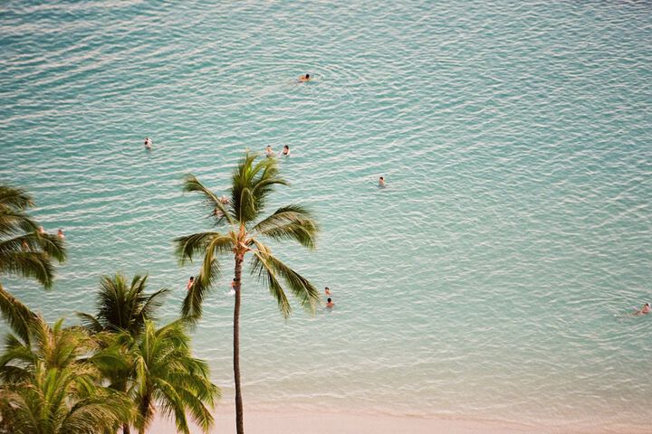 Beach 220 of 242