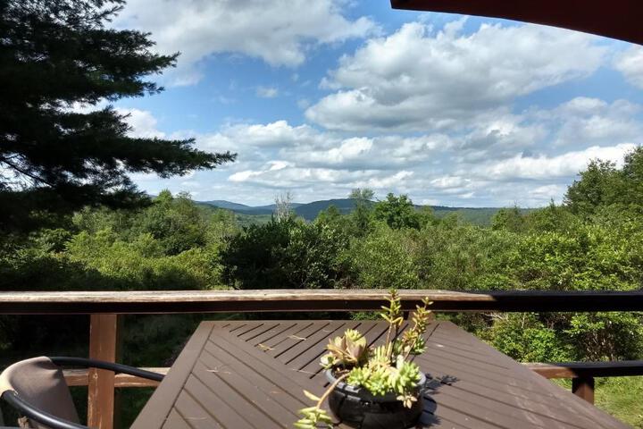 Catskills tiny house cabin