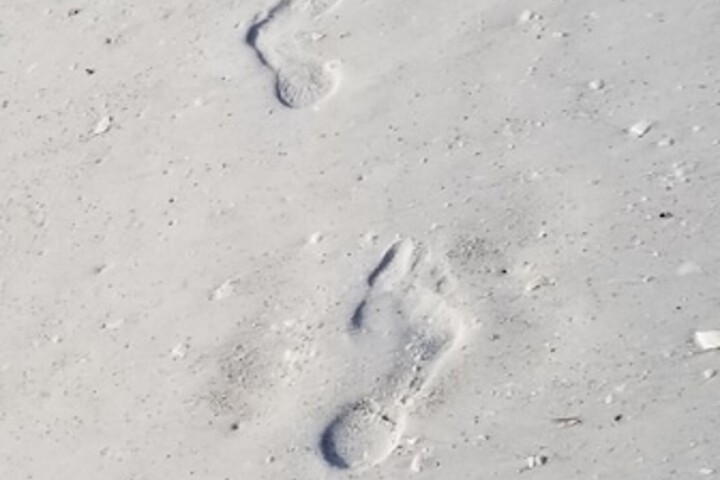 Beach 144 of 170