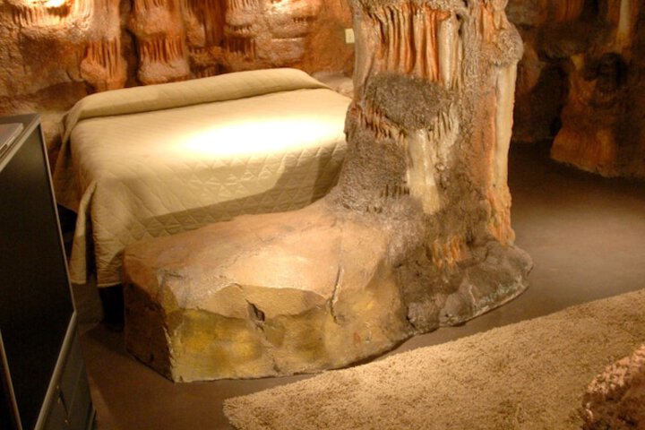 Wildwood Inn Tropical Dome & Theme Suites