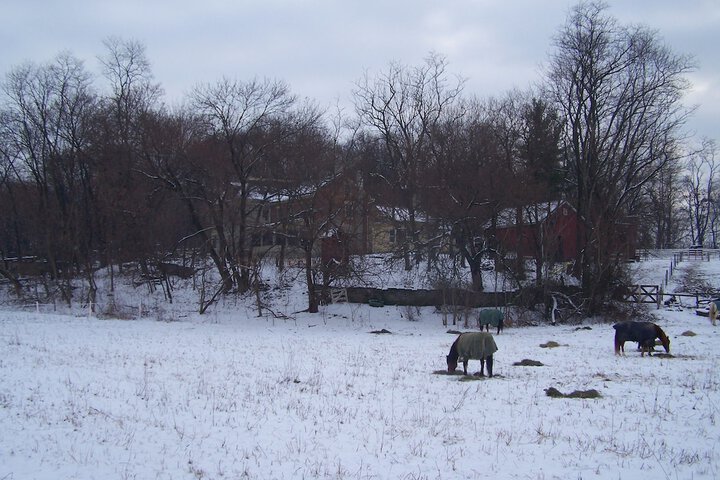 Property Grounds 57 of 58